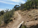 photo thumbnail #1