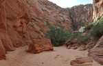 photo thumbnail #9