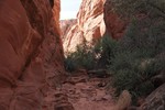 photo thumbnail #12