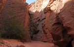 photo thumbnail #13