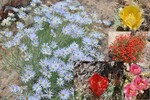 photo thumbnail #7