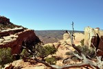 photo thumbnail #13