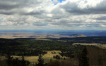 photo thumbnail #7