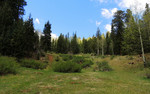 photo thumbnail #15