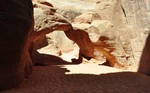 photo thumbnail #2