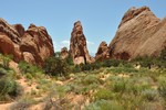 photo thumbnail #1