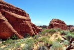 photo thumbnail #4