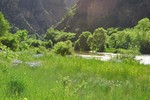 photo thumbnail #1