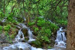 photo thumbnail #4