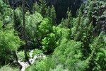 photo thumbnail #7
