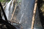 photo thumbnail #9