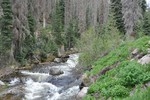 photo thumbnail #9