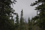 photo thumbnail #13