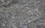 photo thumbnail #14