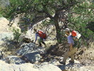 photo thumbnail #2