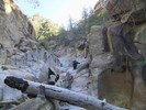 photo thumbnail #6