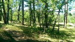 photo thumbnail #3