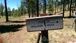 photo thumbnail #10