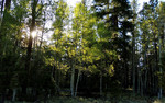 photo thumbnail #14