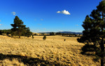 photo thumbnail #12