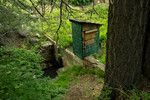 photo thumbnail #2