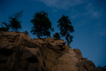 photo thumbnail #12