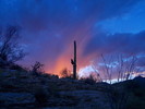 photo thumbnail #9
