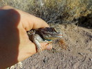 photo thumbnail #1