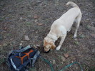 photo thumbnail #1