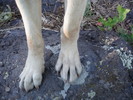 photo thumbnail #3