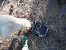 photo thumbnail #4