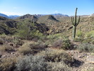 photo thumbnail #5