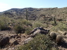 photo thumbnail #7