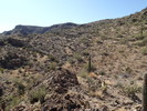 photo thumbnail #11