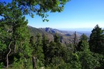 photo thumbnail #1