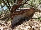 photo thumbnail #5