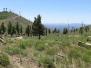 photo thumbnail #11