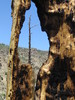 photo thumbnail #15