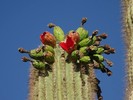 photo thumbnail #5