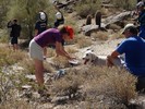 photo thumbnail #6