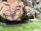 photo thumbnail #12