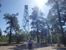 photo thumbnail #3