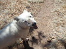 photo thumbnail #4