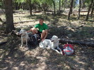 photo thumbnail #5