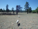 photo thumbnail #7