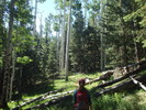 photo thumbnail #3