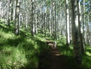 photo thumbnail #1