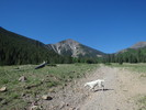 photo thumbnail #2