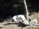 photo thumbnail #9