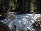 photo thumbnail #10